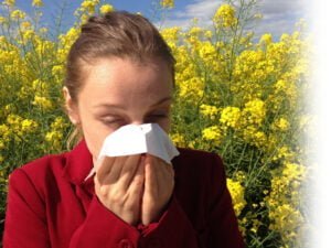 Astma & Allergi